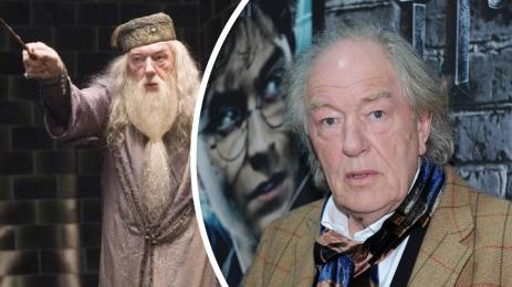 Дъмбълдор Майкъл Гамбън