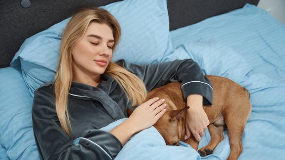 Защо кучетата обичат да спят до стопаните си