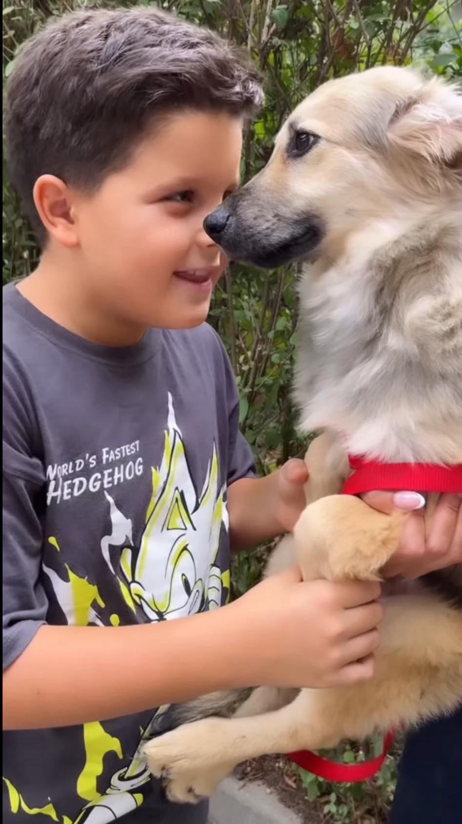 диляна попова син