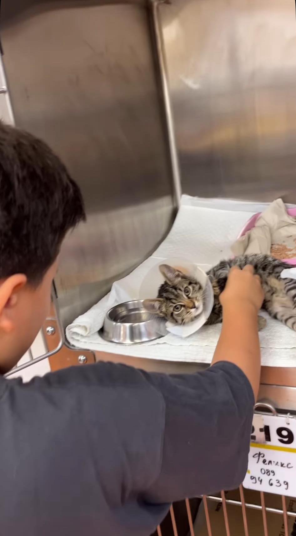 диляна попова син