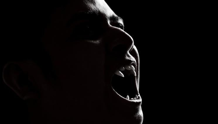 Дракула - Сълзите направили Дракула вампир, разкриват писма на владетеля (СНИМКИ)