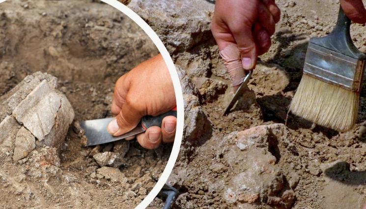 разкопка - ПРИ РАЗКОПКИ В БЪЛГАРСКО СЕЛО: Намериха монета на крал Луи (СНИМКА)