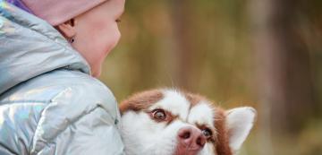 Какво да направим, ако кучето ни ръмжи на деца