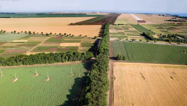 ниви - Агро Телеграф: Търсим неплатена рента до 3 г. назад