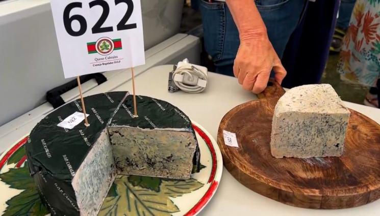 синьо сирене - Агро Телеграф: Броиха 30 000 евро за най-скъпото сирене в света