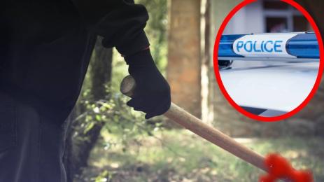 полиция дървен сап