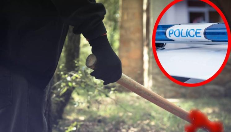 полиция дървен сап - ЗВЕРСТВО: Насилник потроши приятелката си