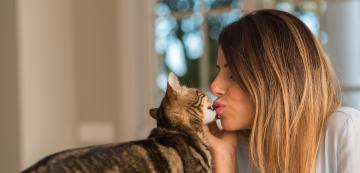 Котките изпитват ли любов, когато ги целувате