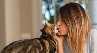 целуване на котка