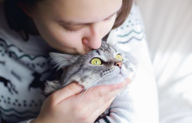 целуване на котка