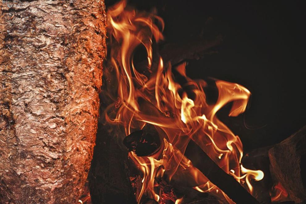 Районната прокуратура в Пловдив се захвана със случая, при който