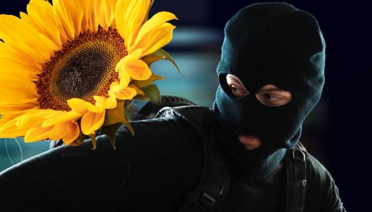 крадец слънчоглед - НА МУШКА: Обраха бивш зам.-министър