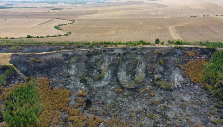 гора - Пожар изпепели емблематичен символ на България