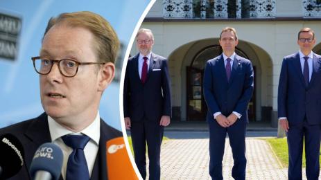 граници полша