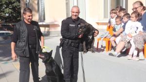 полицейски кучета Видин