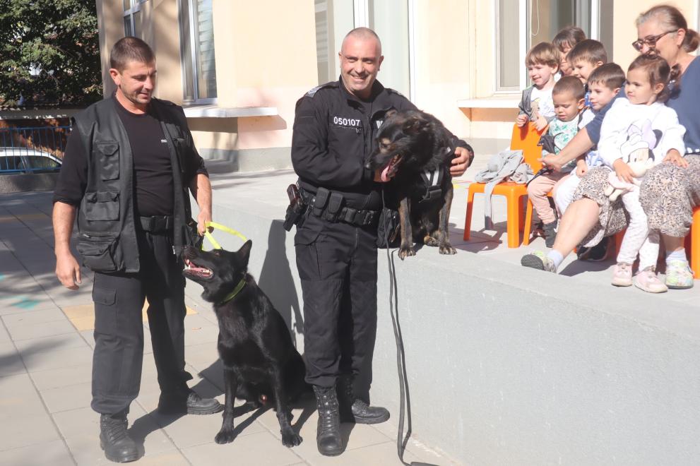 Три полицейски кучета - Кай, Дарко и Зоро и техните