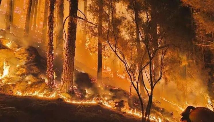 пожар - СТАВА СТРАШНО: Столицата на съседите под огнена обсада! (ВИДЕО)