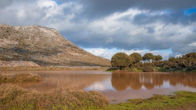  Откриха вкаменелости на корали на 300 милиона години на остров Крит