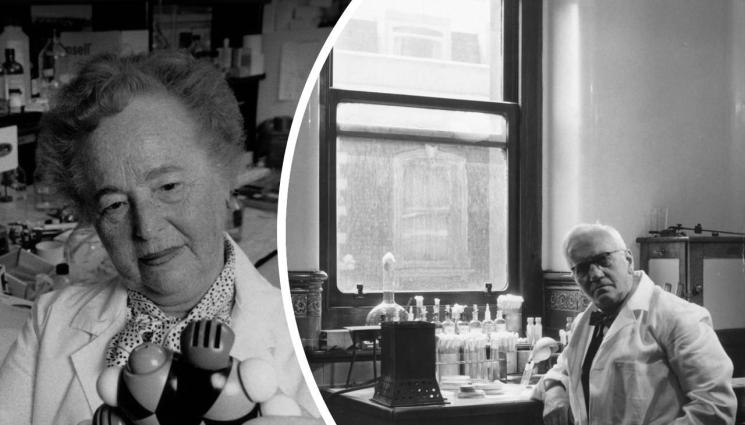 Гертруд Елиън Александър Флеминг - ЗЛАТНО ВРЕМЕ: Вирусите взимат клетката за заложник