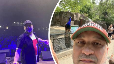 мишо шамара