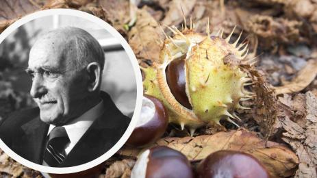 Петър Димков