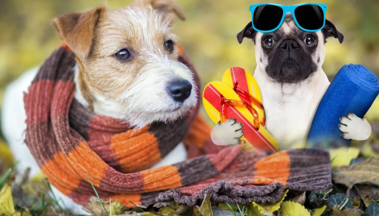 жега студ топло студено - ЩЕ ВЛИЗЕ ЛИ В ЧАС ВРЕМЕТО? Жълт код за силен вятър и жега (КАРТА)