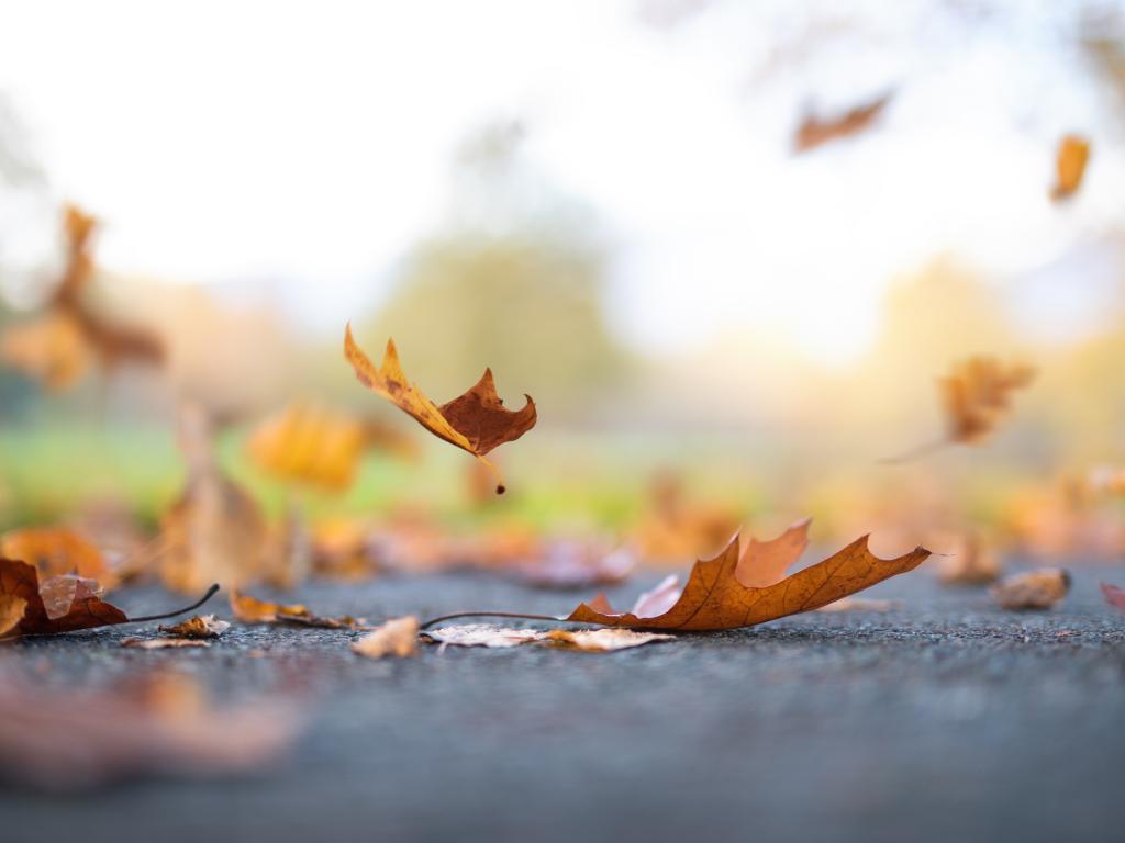 Weather Forecast for Thursday and Weekend: Sunny with Increasing Clouds and Rain on the Way