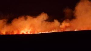 Пожар избухна северно от военния полигон в Казанлък съобщи началникът на