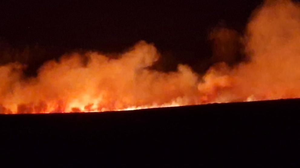 Пожар избухна северно от военния полигон в Казанлък, съобщи началникът на