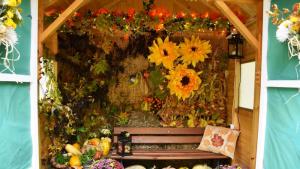 Есенна приказка в Благоевград  Сезонните превъплъщения в Градската градина ще изненадат