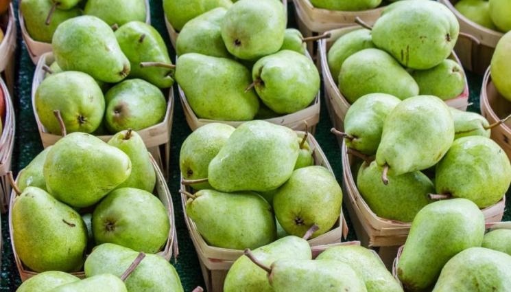 круши - Агро Телеграф: Прибираме реколтата от ябълки и круши