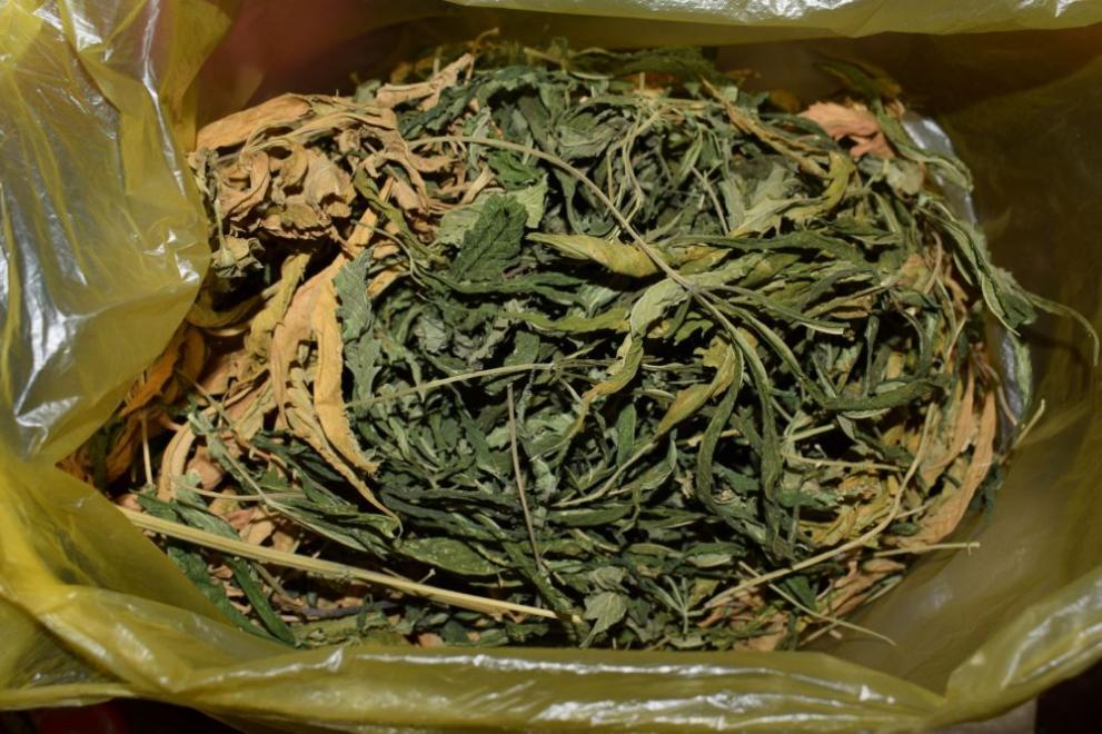 Иззеха над 160 грама марихуана от имот в село Бял