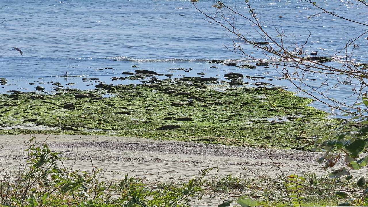 рибарски плаж