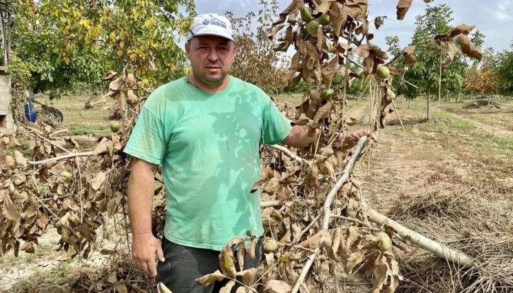Танасис Тодос - Агро Телеграф: Циклонът Даниел разби мечтите на гръцките фермери