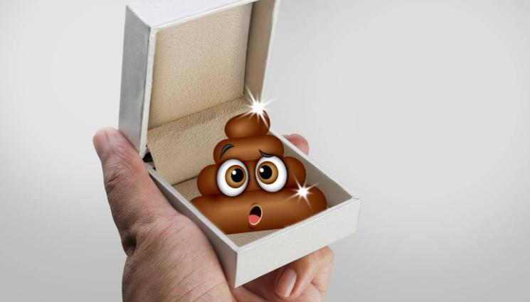 екскременти - Митничари спипаха пътничка, пренасяла кутия с изпражнения (СНИМКА)