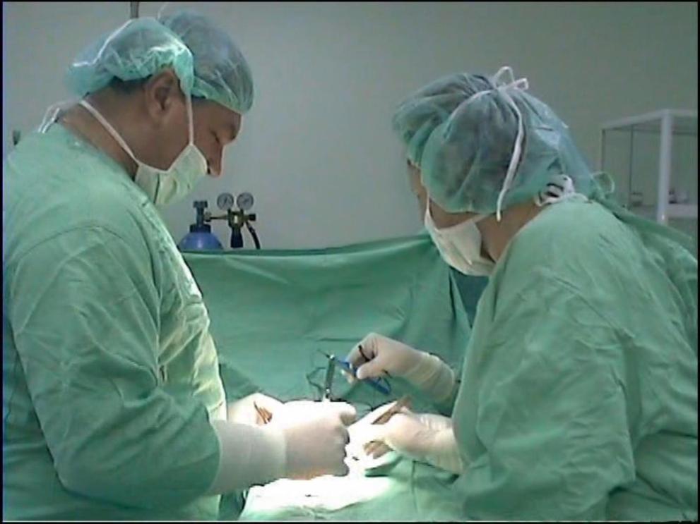 Снимка: Лекари от Търговище извадиха огромна кучешка тения от черния дроб на пациент