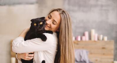 Шотландска клепоуха котка