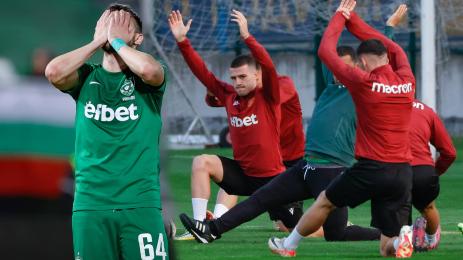 Доминик Янков национали