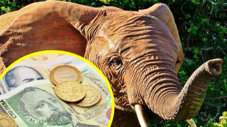 СЛОНЧЕ ПАРИ