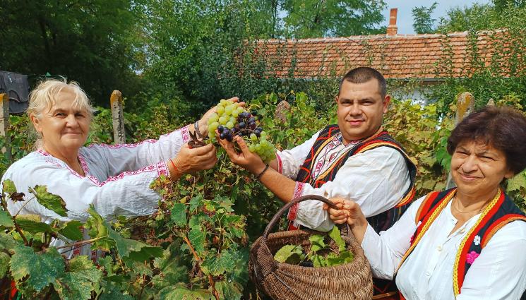 гроздобер - ЧУДЕСА И ВЯРА: Гроздоберът вещае края на селския труд