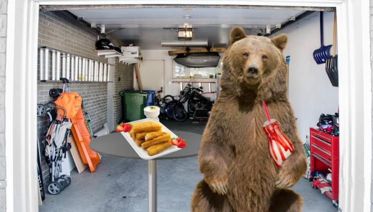 мечка - ЗА ЧУЖДА СМЕТКА: Мечка гладница опустоши хладилник (СНИМКА+ВИДЕО)