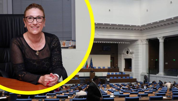 политолог - Политологът доц. Татяна Буруджиева пред