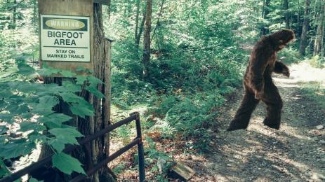 голямата стъпка