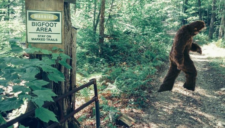голямата стъпка - ИСТИНА ЛИ Е? Ужасен турист засне Голямата стъпка да бере цветя в гората! (ВИДЕО)