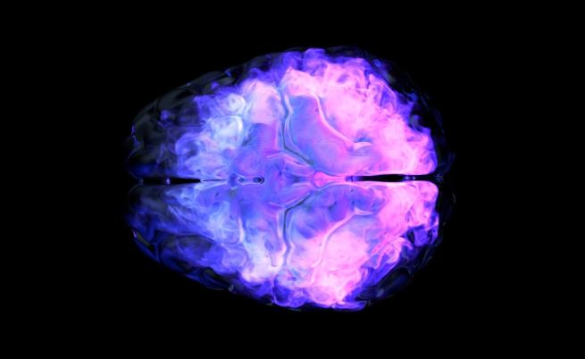 Най-детайлната карта на човешкия мозък променя разбирането ни за неврологичните заболявания и еволюцията