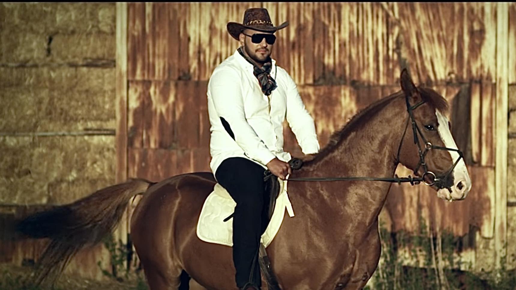 БГ изпълнители