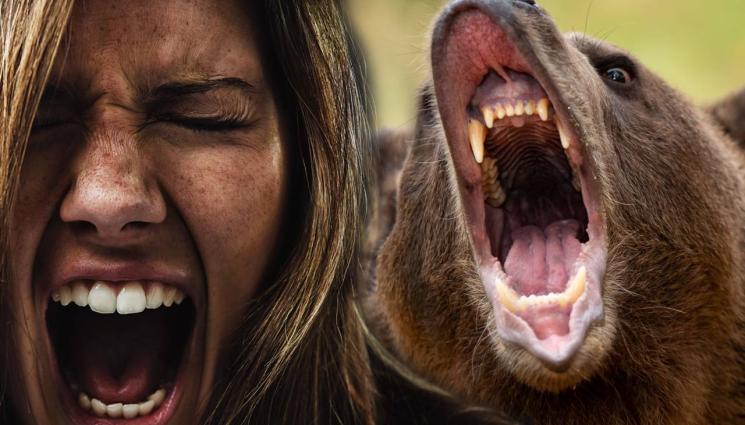 мечка жена - НЕРАВНА БИТКА: Провинциална дама надделя в люта схватка с мечка