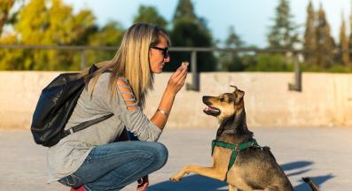 куче обучение