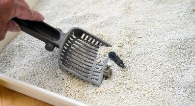 котешка тоалетна