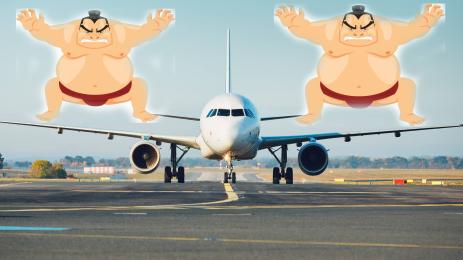 сумисти самолет